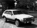 AMC Eagle Kammback 1981 года